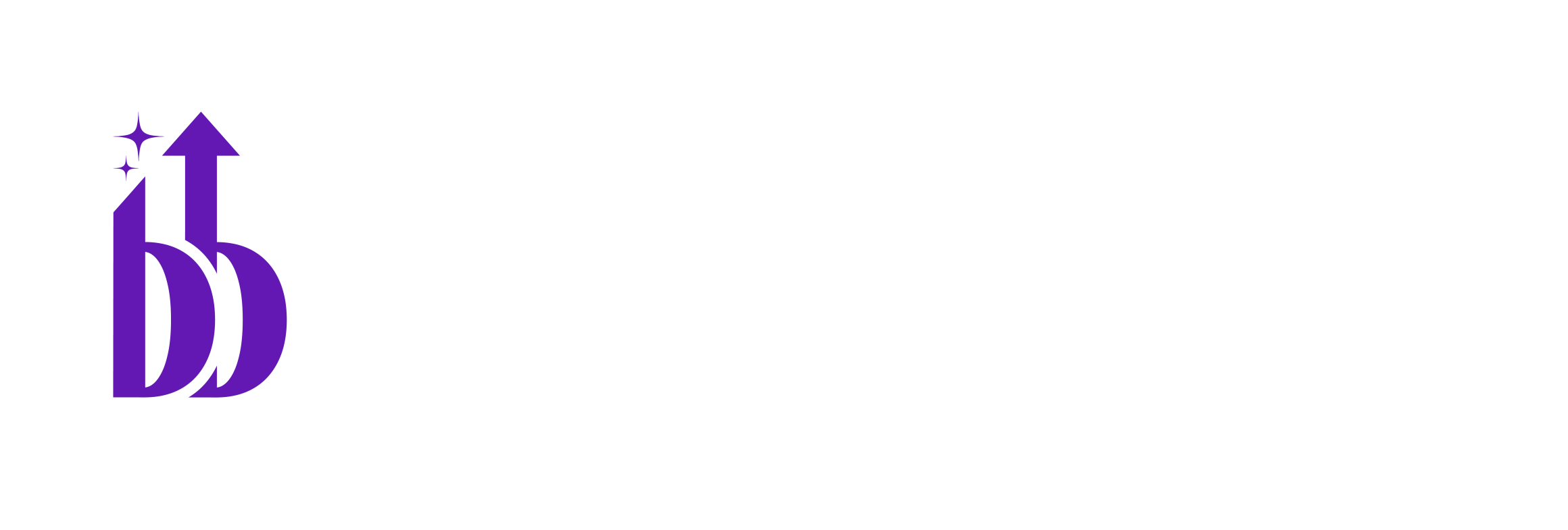 Beyond the Bottom Line Accounting